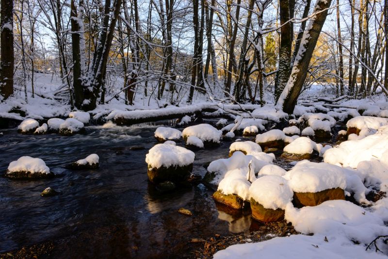 Jahresprogramm 2017 der Naturschutzinitiative