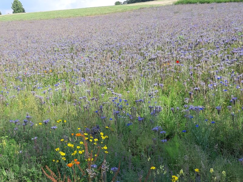 Miteinander von Landwirten und Jgern fr die Natur 