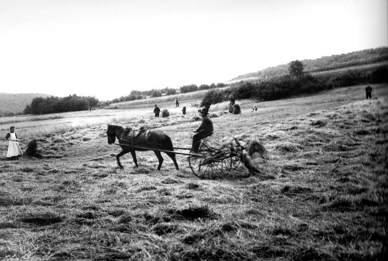 An die Heuernte frher erinnert der Willrother Heimatkundler Albert Schfer. Foto: Archiv Schmidt-Markoski
