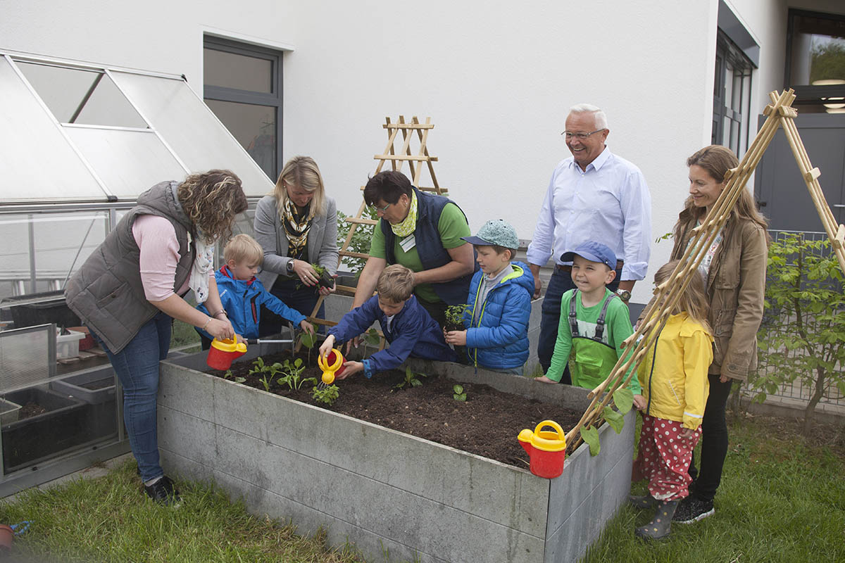 Es wurde eifrig gepflanzt. Fotos: Wolfgang Tischler