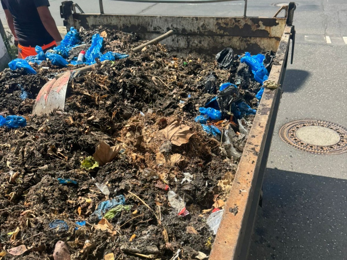 Immer hufiger stecken Hundekotbeutel in den Gully-Sinkbehltern fest und verstopfen den Abfluss. Das kann zu berschwemmungen fhren. (Fotos: Urzun mer)