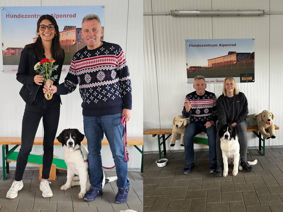 Hunde am Arbeitsplatz: Ein Besuch im Hundezentrum Alpenrod