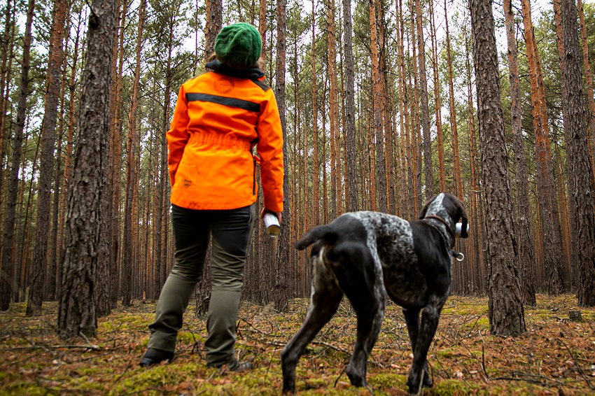 Drre, Hitze und Strme setzen dem Wald zu. Die IG BAU fordert mehr Forstpersonal, um den klimagerechten Umbau heimischer Wlder voranzubringen. (Foto: IG Bau)