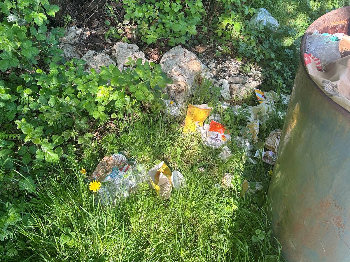 Entlang der L269 wurde illegal Mll abgelagert. (Foto: Kreisverwaltung Altenkirchen)