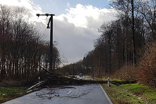 Dieser Baum traf eine Stromleitung zwischen Giershofen und Gromaischeid und verursachte einen Stromausfall. Foto: Feuerwehr Dierdorf