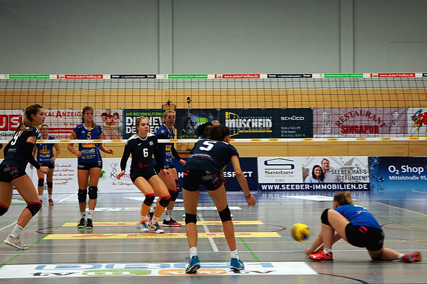 Deichstadtvolleys siegen im letzten Heimspiel des Jahres