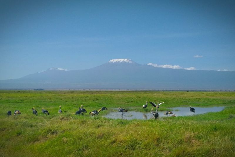 Im Vortrag stellt Werner Schrder beispielhafte Projekte mit den Menschen in Afrika vor und zeigt Bilder beeindruckender Naturlandschaften mit einer reichen Tierwelt. Fotos: Werner Schrder