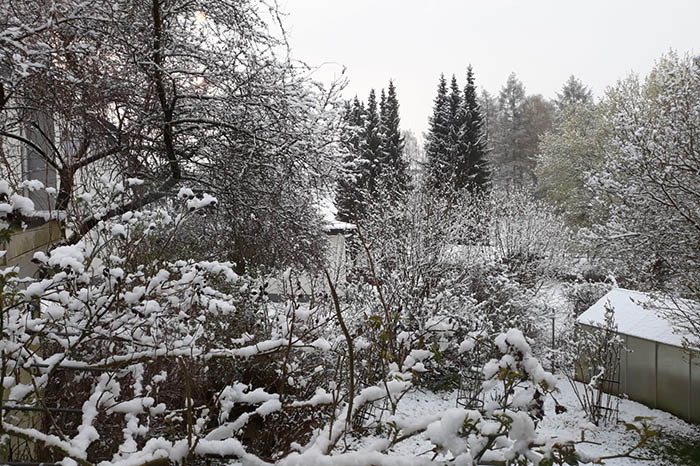 Schneefall am ersten Maiwochenende  