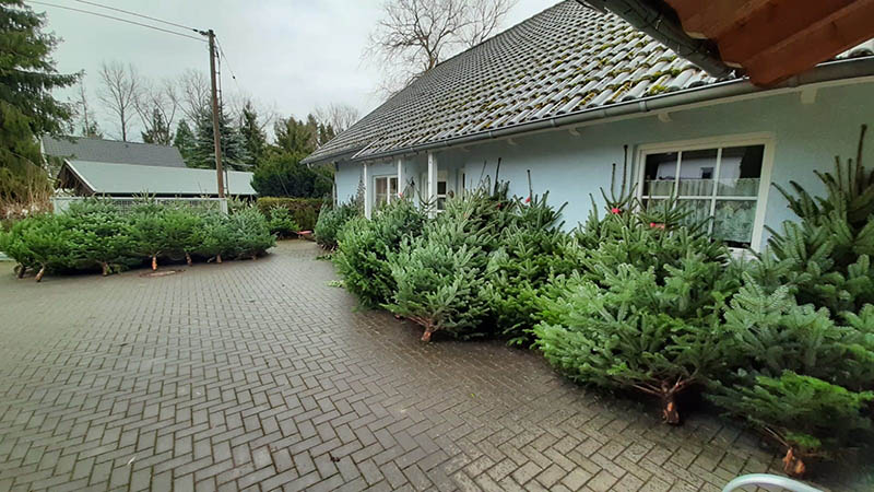 Weihnachtsbaum-Aktion in Brckrachdorf 2020