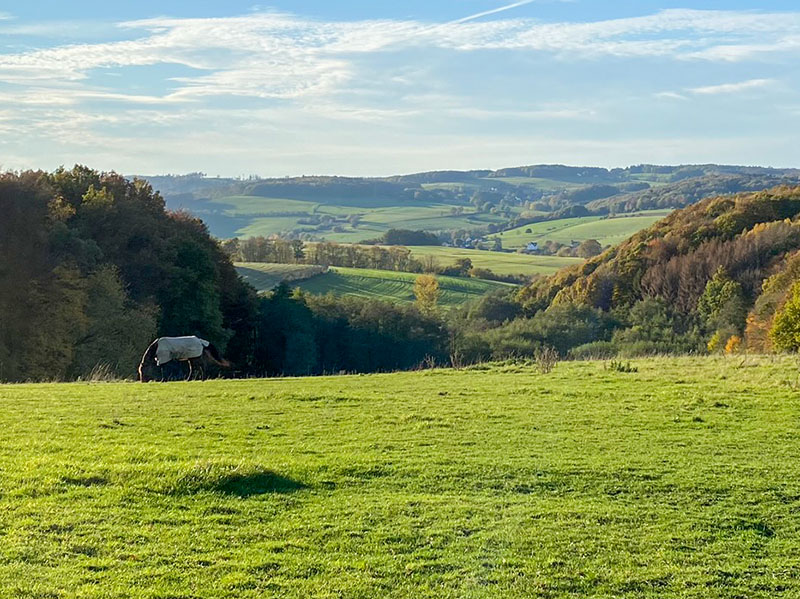 Aussichtspunkt bei Birkenbeul. Foto: Bjrn Schumacher