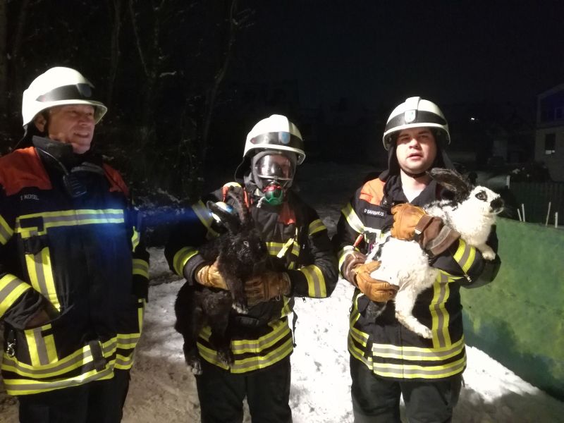 Feuerwehrmnner retten Haustiere aus einer brennenden Gartenhtte. Foto: Polizei