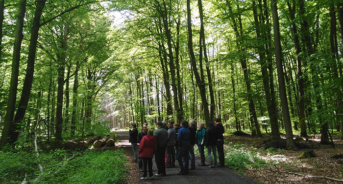 Die Whlergruppe Otto informierte sich bei der Waldbegehung. Foto: Whlergruppe Otto