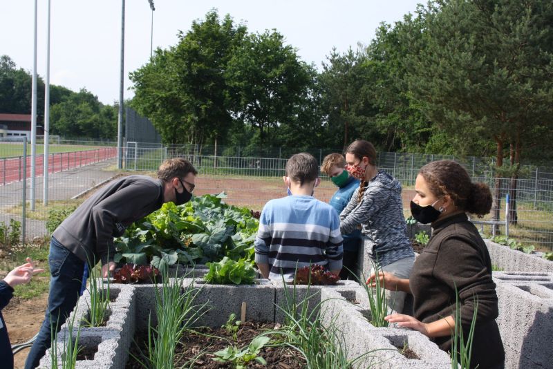 Gartenkultur in der Schule. Foto: IGS Selters