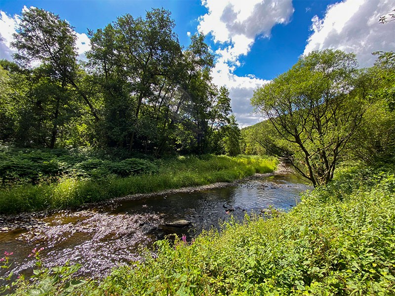 Nister bei Flgert