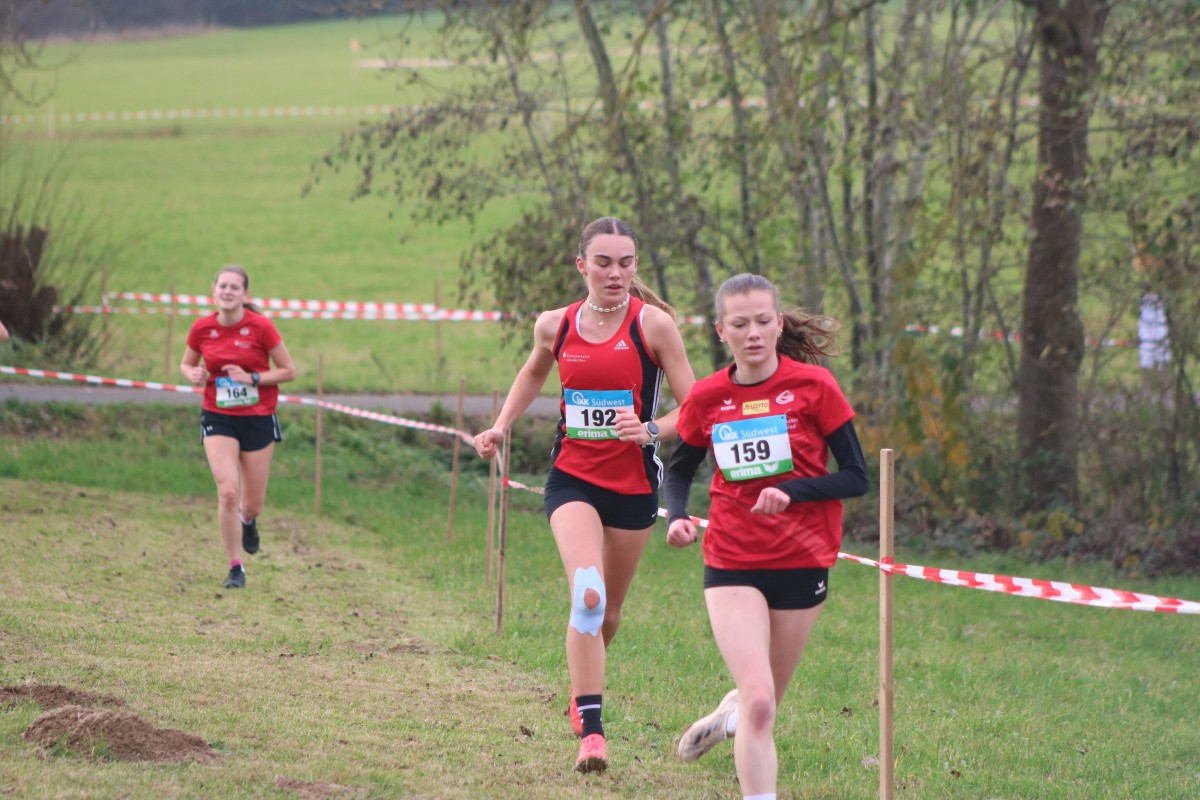 (Fotos: Marcus Hehn)