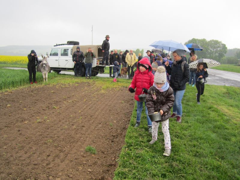 Hof Scheffen st Blhstreifen mit Familien aus