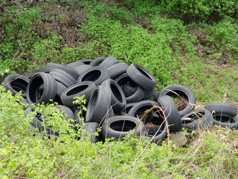 Erhebliche Menge von Altreifen illegal in der Gemarkung Nentershausen abgeladen. Foto: Pressestelle der Kreisverwaltung