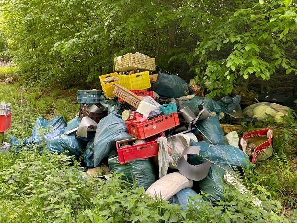 Kreisverwaltung bittet um Mithilfe: Illegale Müllentsorgung in Leuterod