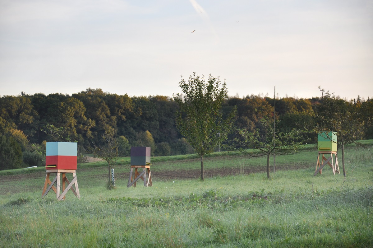 "Feiern und Freuen" im Feldgarten "im Tal" in Hasselbach