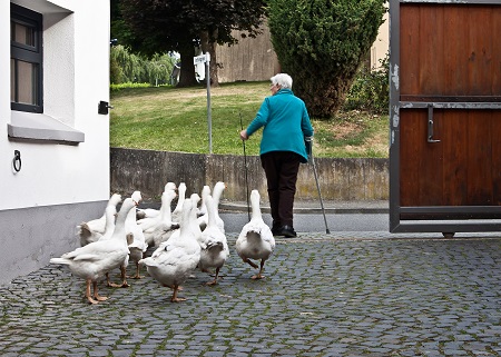 Altersarmut ist ein Thema, von dem Frauen besonders betroffen sind. (Foto: Kreisverwaltung)