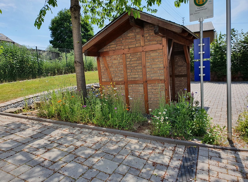 Das Buswartehuschen mit Blhstreifen (Fotos: privat)