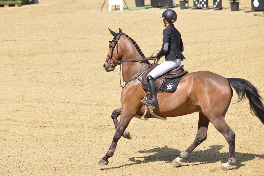 Isabelle Gerfer vom RV Kurtscheid und die zehnjhrige Stute Ironie du Bois Halleux gewinnen die erste Etappe von Deutschlands U25 Springpokal in Mannheim. Fotos: Verein