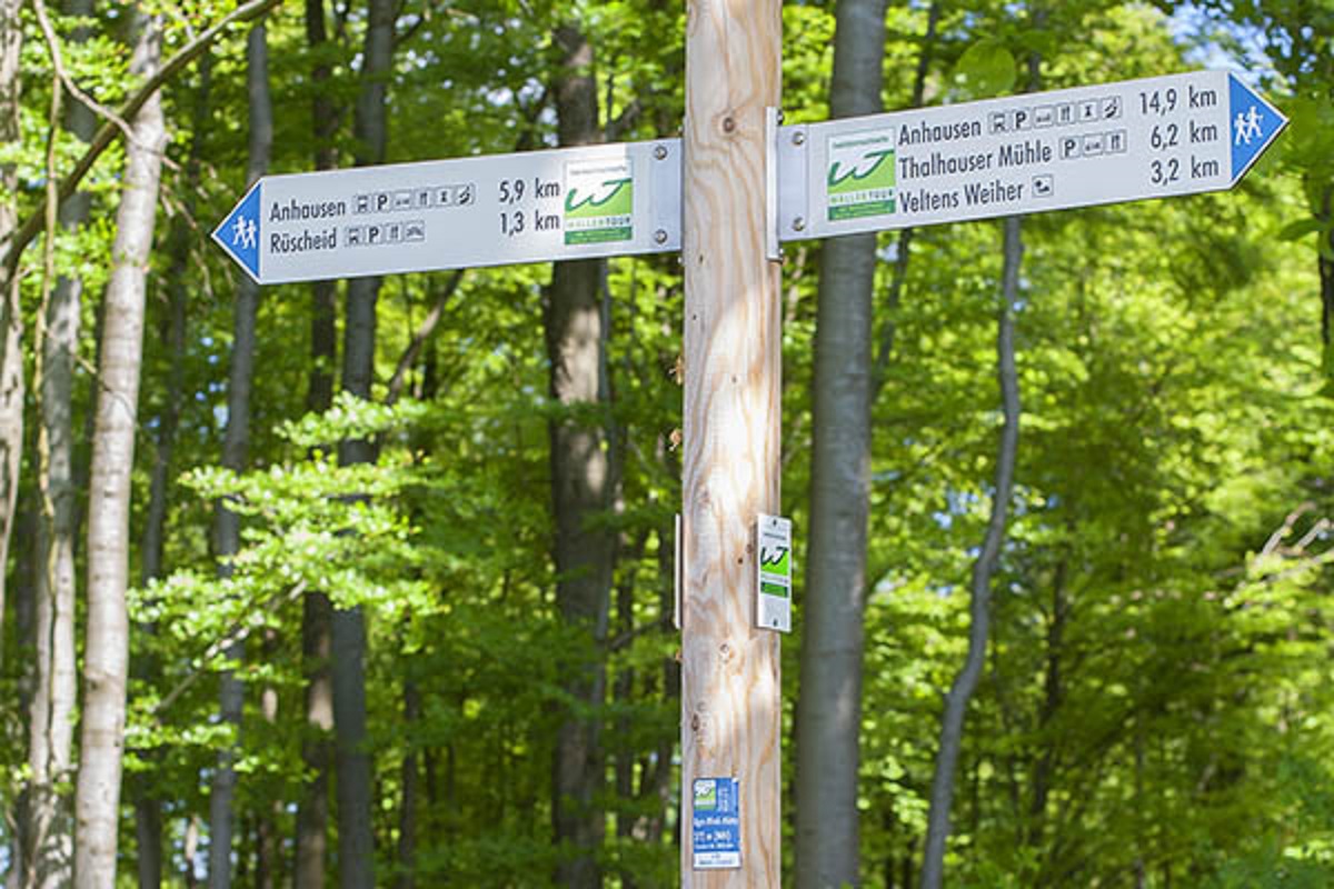 Jetzt kostenlos bestellen: Die neue Broschre "Wandern auf den Wller Touren" 