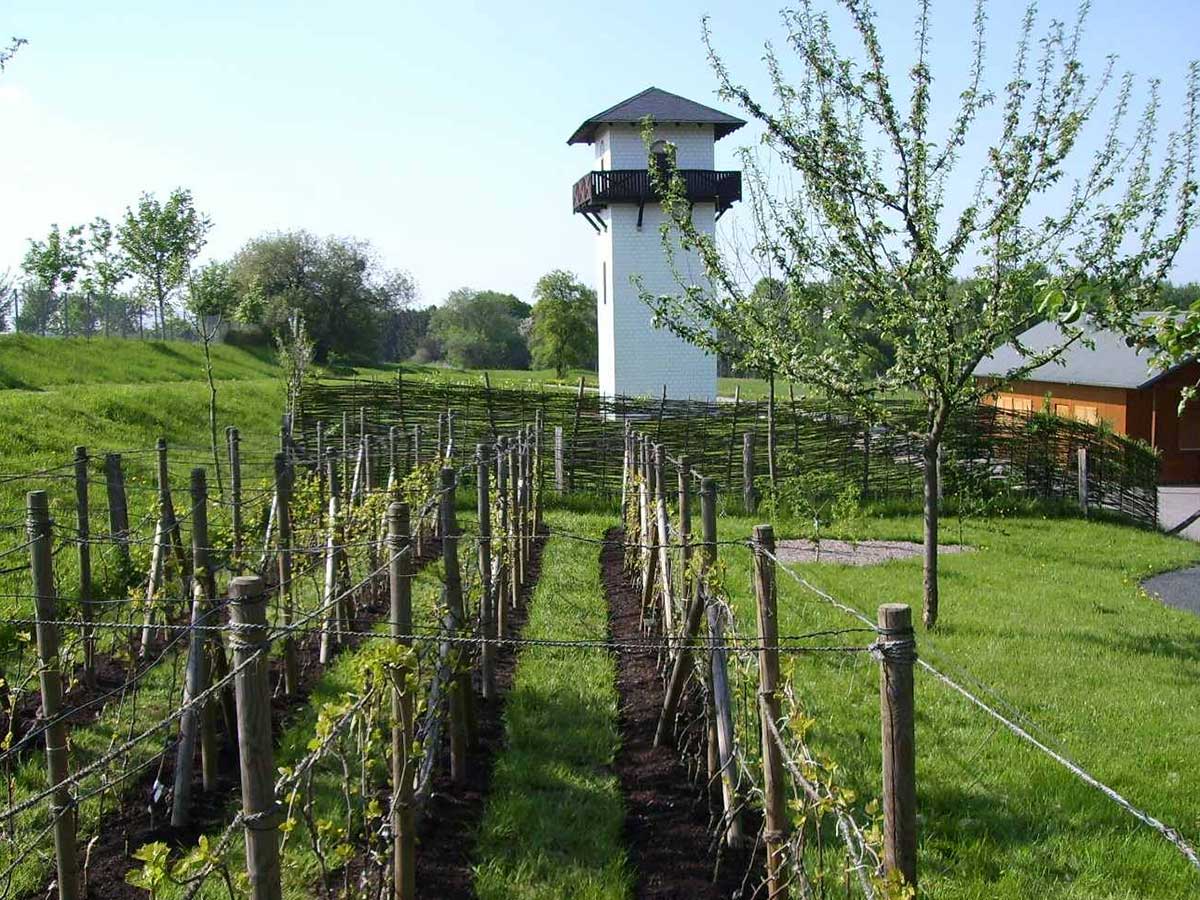 Limesturm und Hortus Rusticus in Hillscheid. (Foto: Frderkreis Limes)