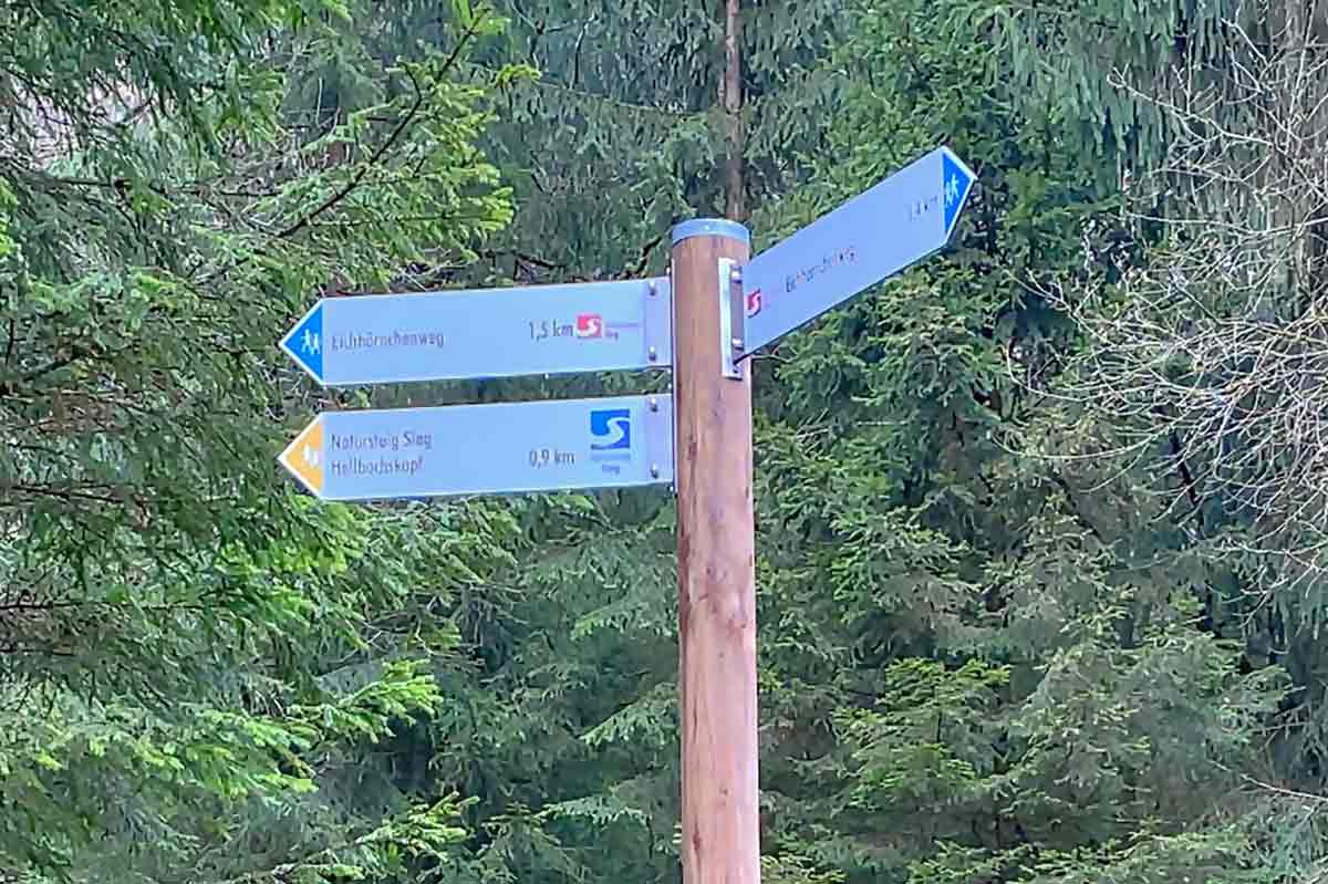 Die meisten Wege sind gut beschildert, wie hier ein Wegweiser auf dem Eichhrnchenweg. Foto: Sven Wolff