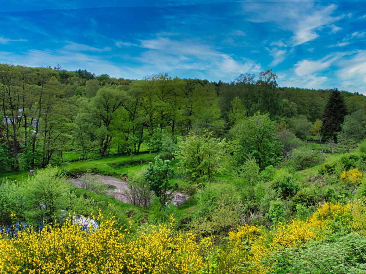 Gefhrte Wanderung im Oberen Wiedtal. (Foto: Axel Griebling)