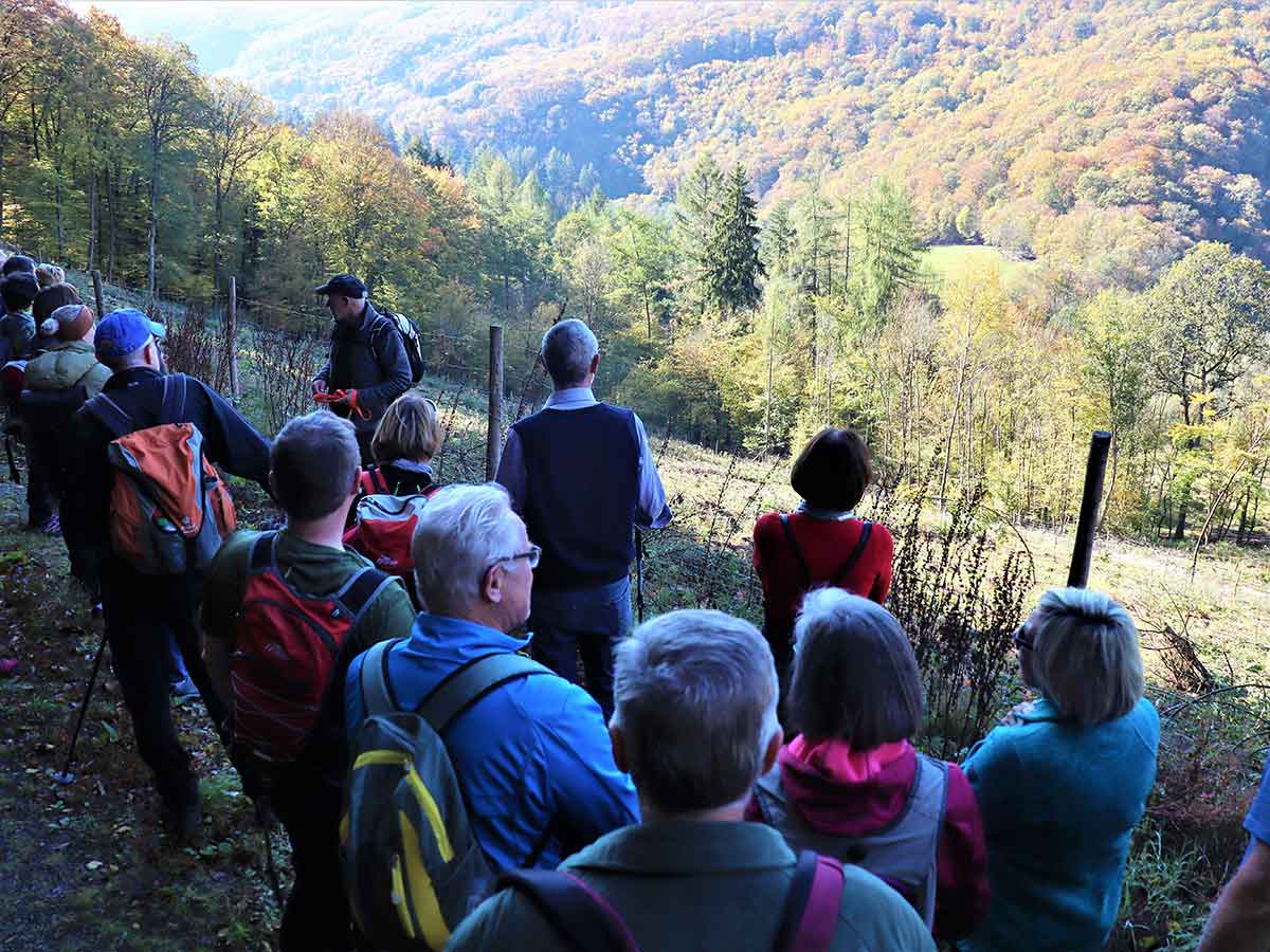 Gemeinsam mit anderen macht das "Erlebnis Natur" noch mehr Freude - wie hier bei der Lahnwanderung im Herbst 2021. (Foto: WWV)