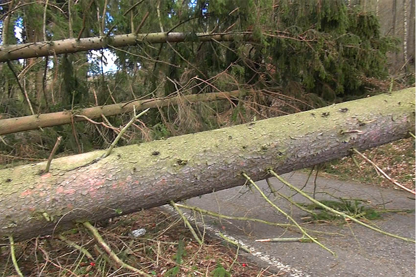 Sturmtief "Ignatz" beeintrchtigt die Stromversorgung