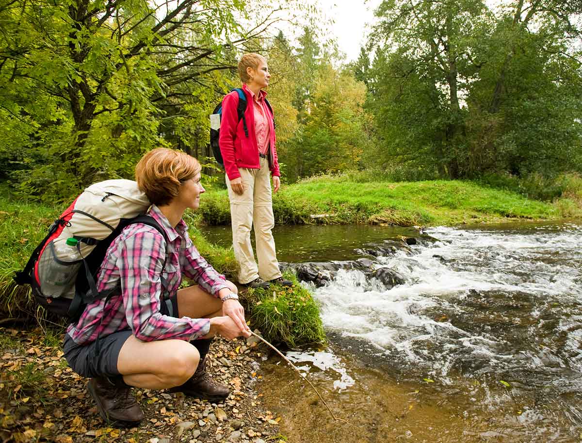 Gefhrte Wanderung durch die Kroppacher Schweiz  Natur pur!