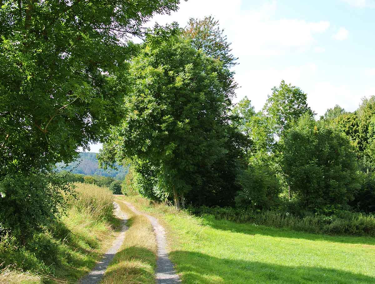 Kostenfreie gefhrte Wanderung im Kannenbckerland am 21. August