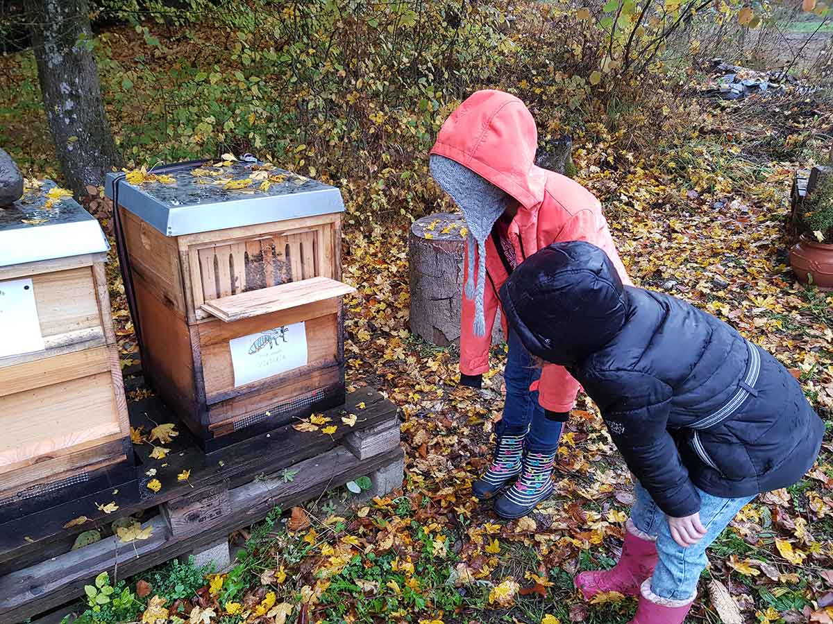 Lernen im eigenen Gemsegarten. (Foto: Montessori-Schule Westerwald)