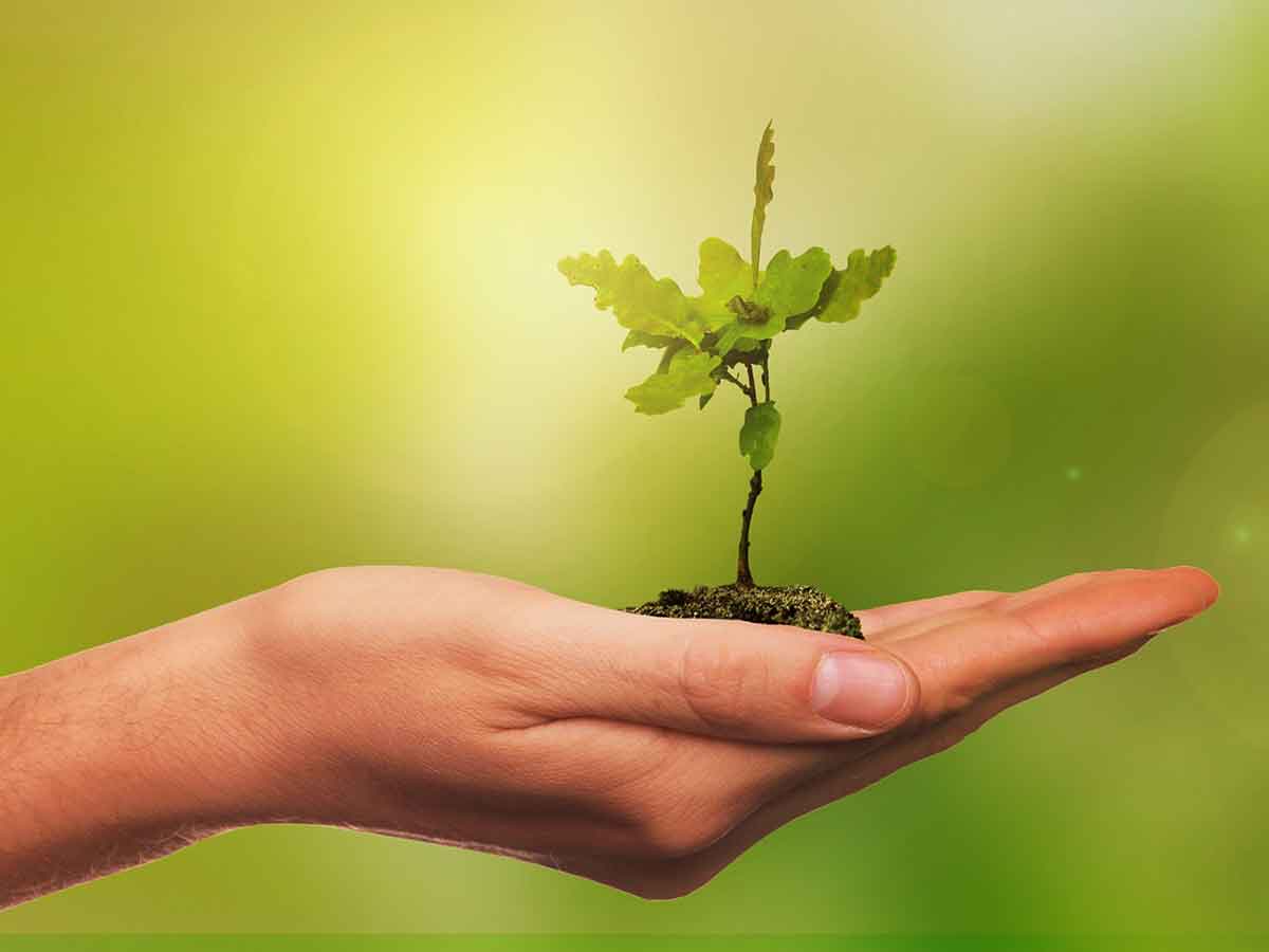 Symbolfoto. (Foto: Pixabay / VanVangelis)