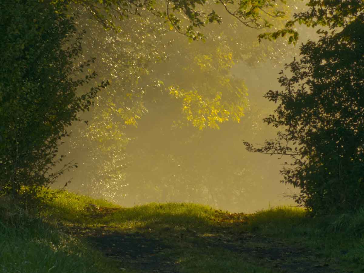 Wandern bringt einen zu den schnsten Ecken in der Natur. (Foto: Rainer Lemmer)