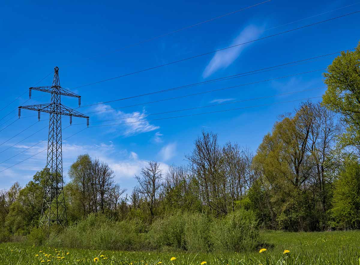 Stromausfall in Teilen der VG Selters: Baum fiel in Freileitung