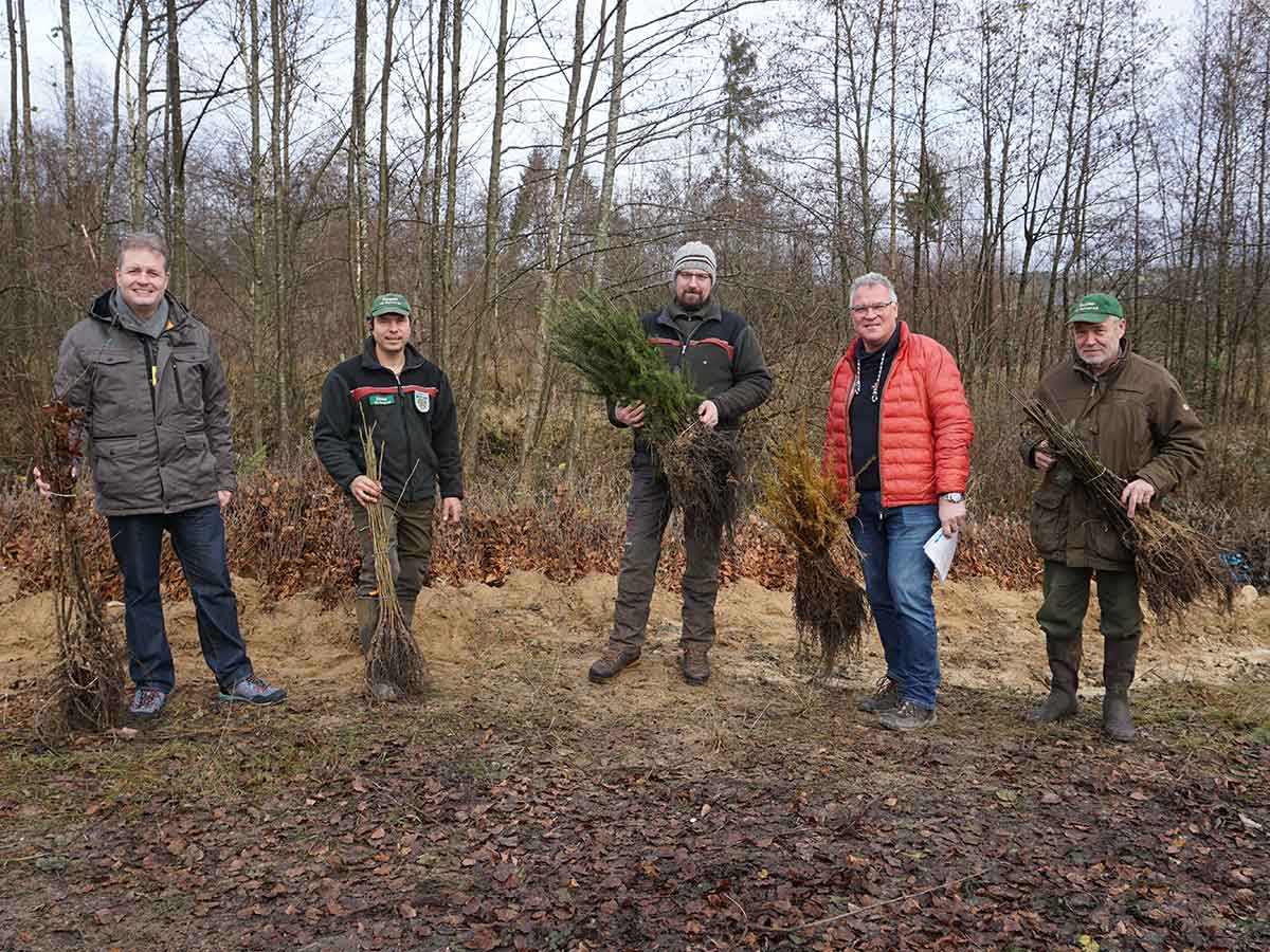 Eine groe Vielfalt von Baumarten wird im Rahmen der Wiederaufforstung in der Verbandsgemeinde Rennerod gepflanzt, wie Brgermeister Gerrit Mller (links) und Abteilungsleiter Hans-Werner Hering (2. Von rechts) von den Revierleitern Dirk Steffen, Jochen Hartmann und Michael Schmidt (v.l.n.r.) erfahren. (Foto: Kerstin Guckert)