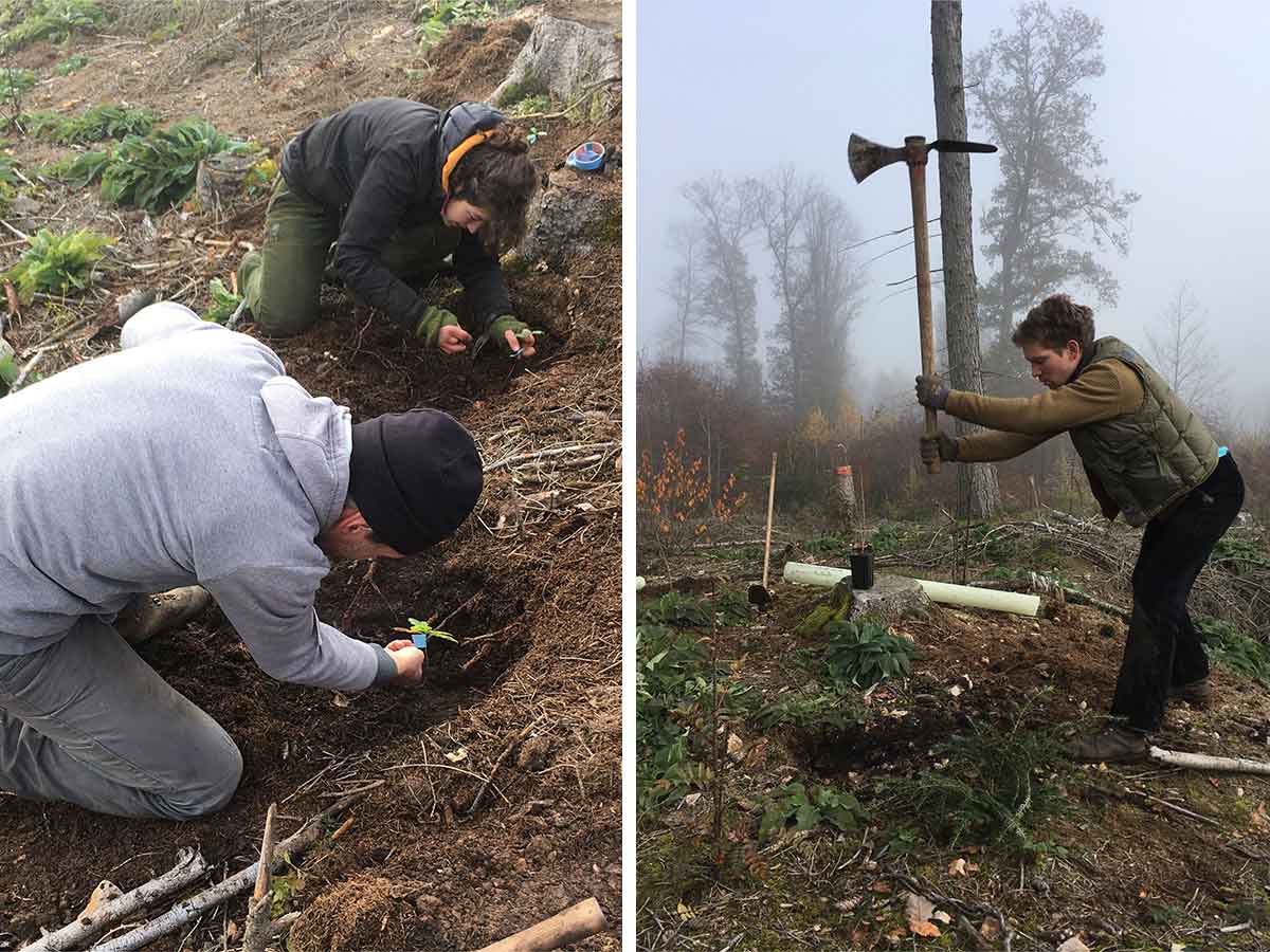 Fleiige Helfer beim Bergwaldprojekt. (Foto: Bergwaldprojekt)