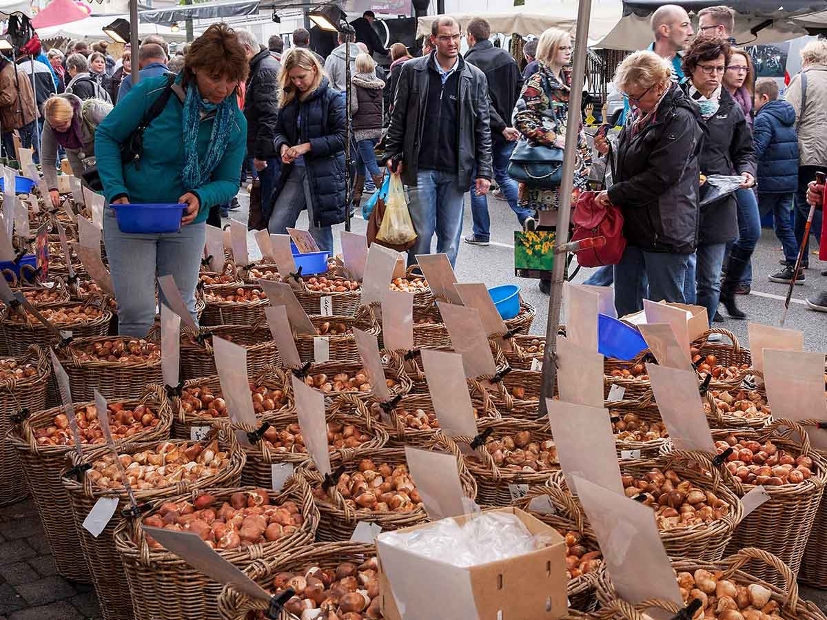 Der Katharinenmarkt ist ber die Grenzen Hachenburgs hinaus bekannt und beliebt. (Foto: Rder-Moldenhauer)