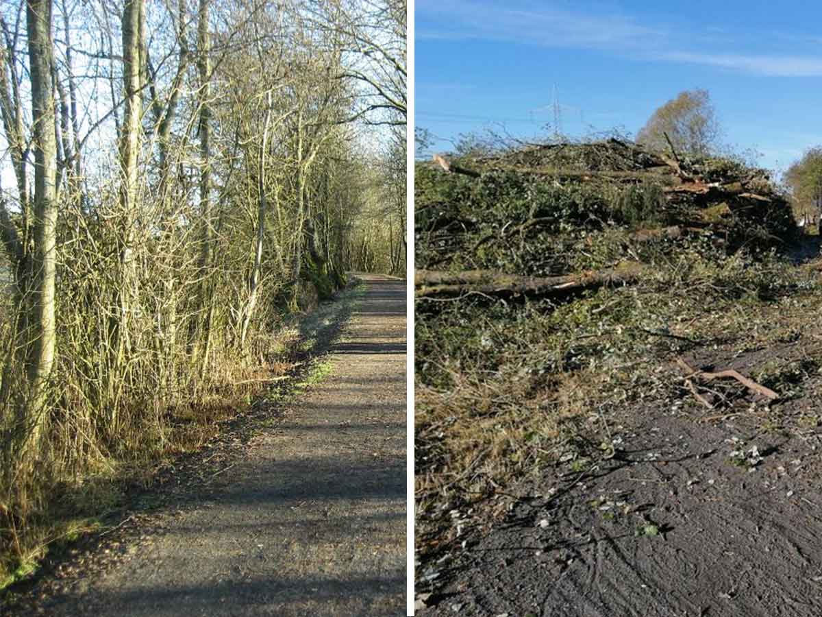 Vorher/nachher des Radwegs in Rehe. (Foto: privat)