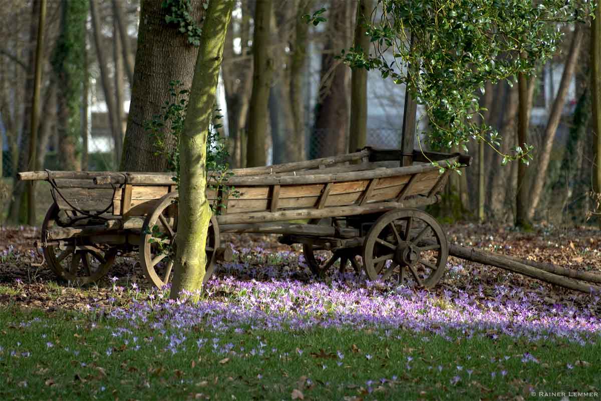 Geschichte & Natur erleben:  Wandern mit dem Westerwald-Verein