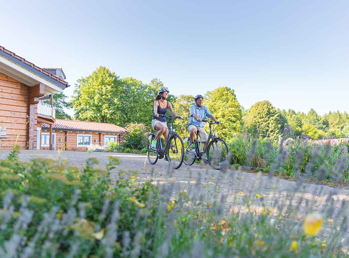 Gefhrte E-Bike Tour im Wllerland. (Foto: Tourist-Information Wllerland)