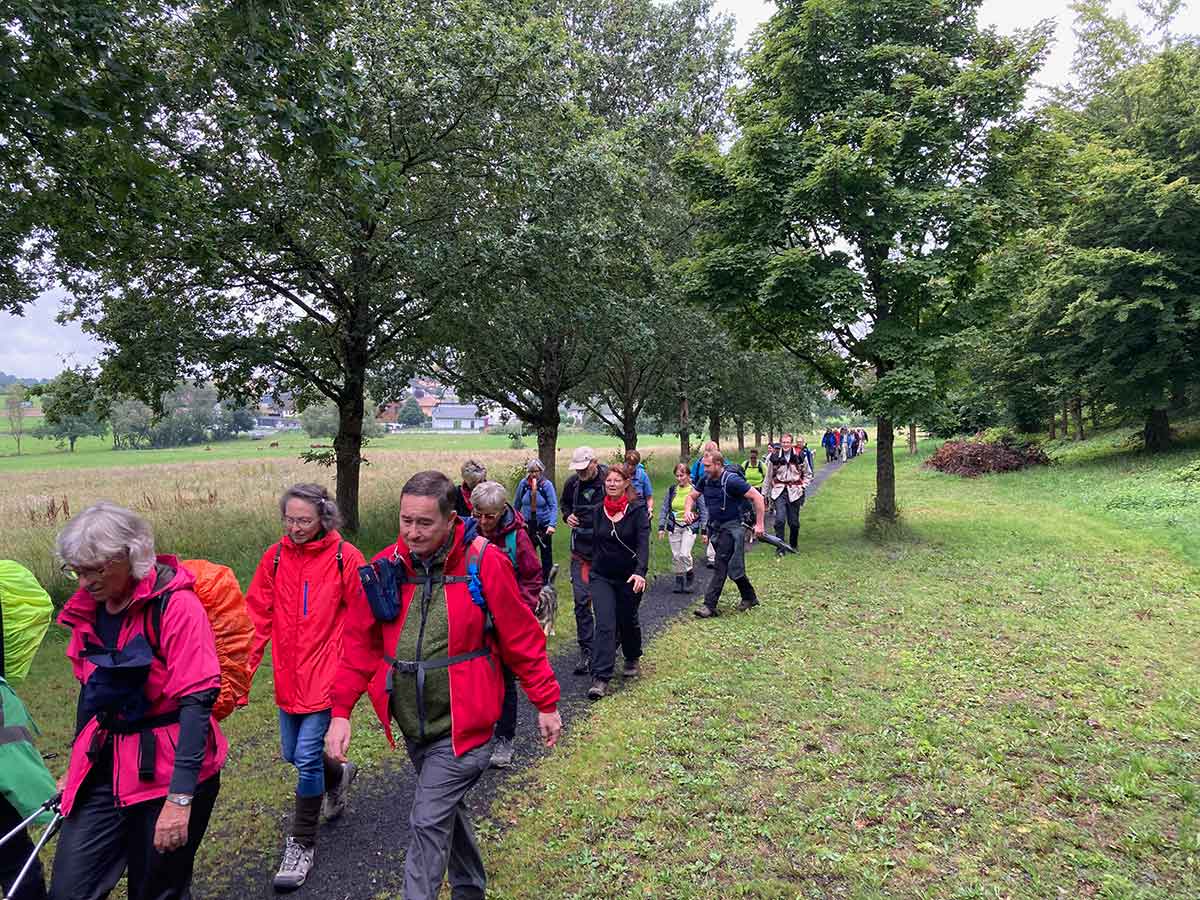 Natur pur - Wandern mit dem Hauptverein des Westerwald-Vereins e.V.