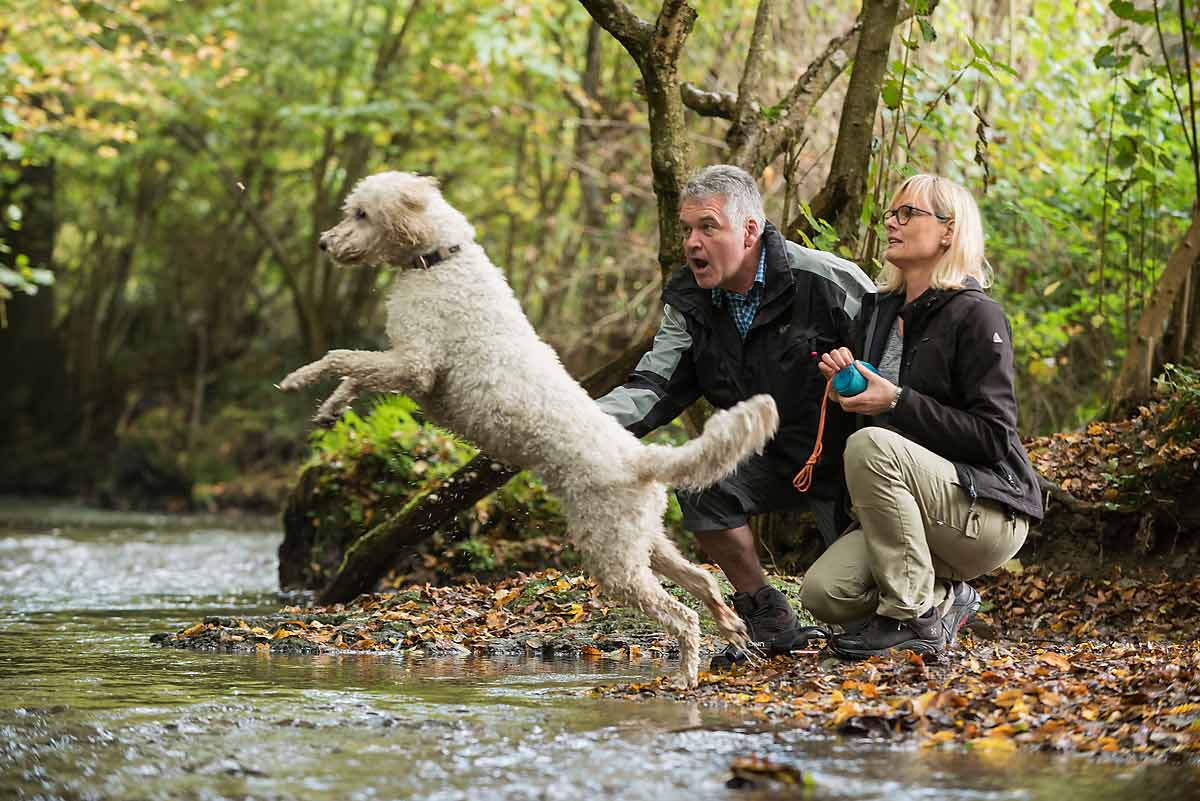 Eine Abkhlung und Wasserspa fr Hunde bieten vor allem die vielen Bche im Westerwald. Foto: Andreas Pacek