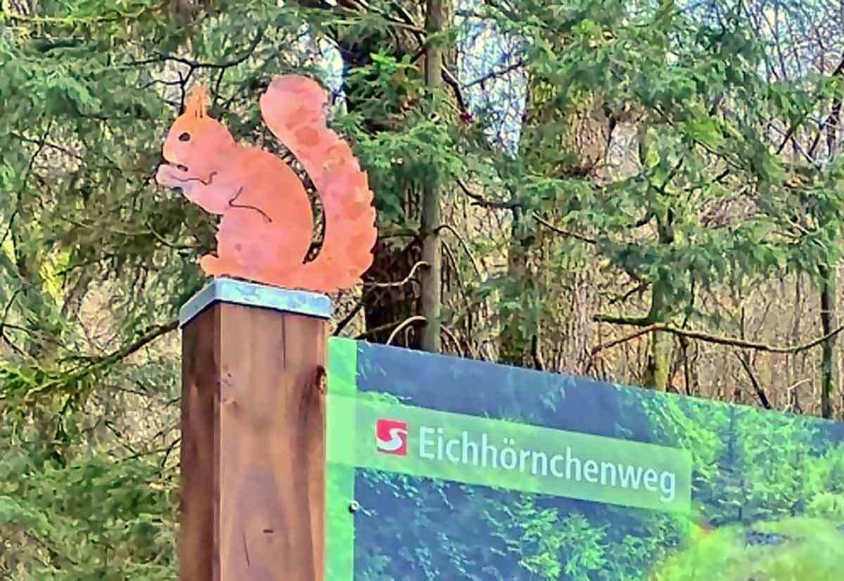 Liebevolle Hinweistafeln leiten und informieren Wandernde auf dem Eichhrnchenweg in Niederfischbach.  (Foto: Sven Wolff)