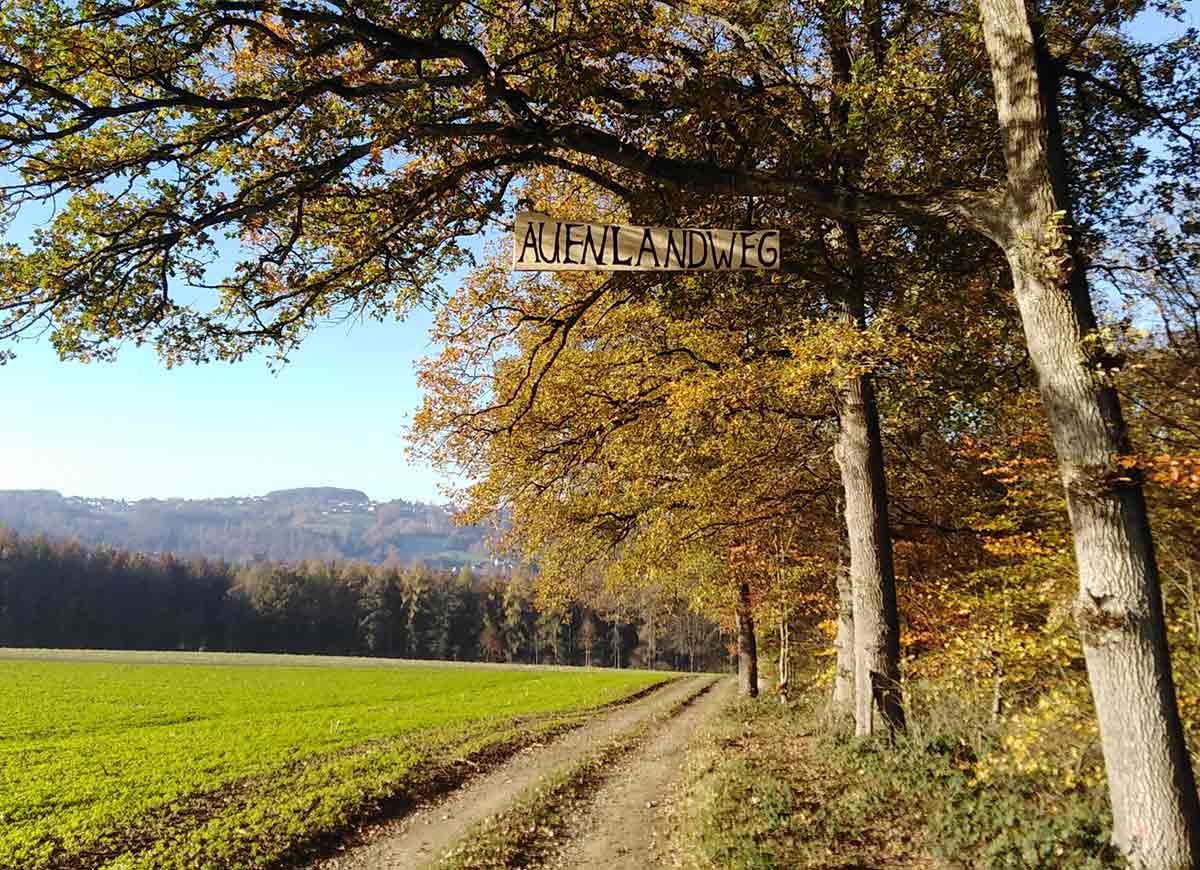 Wie in einer anderen Welt fhlt man sich auf dem Auenlandweg in Blickhausen. Foto: VG Wissen