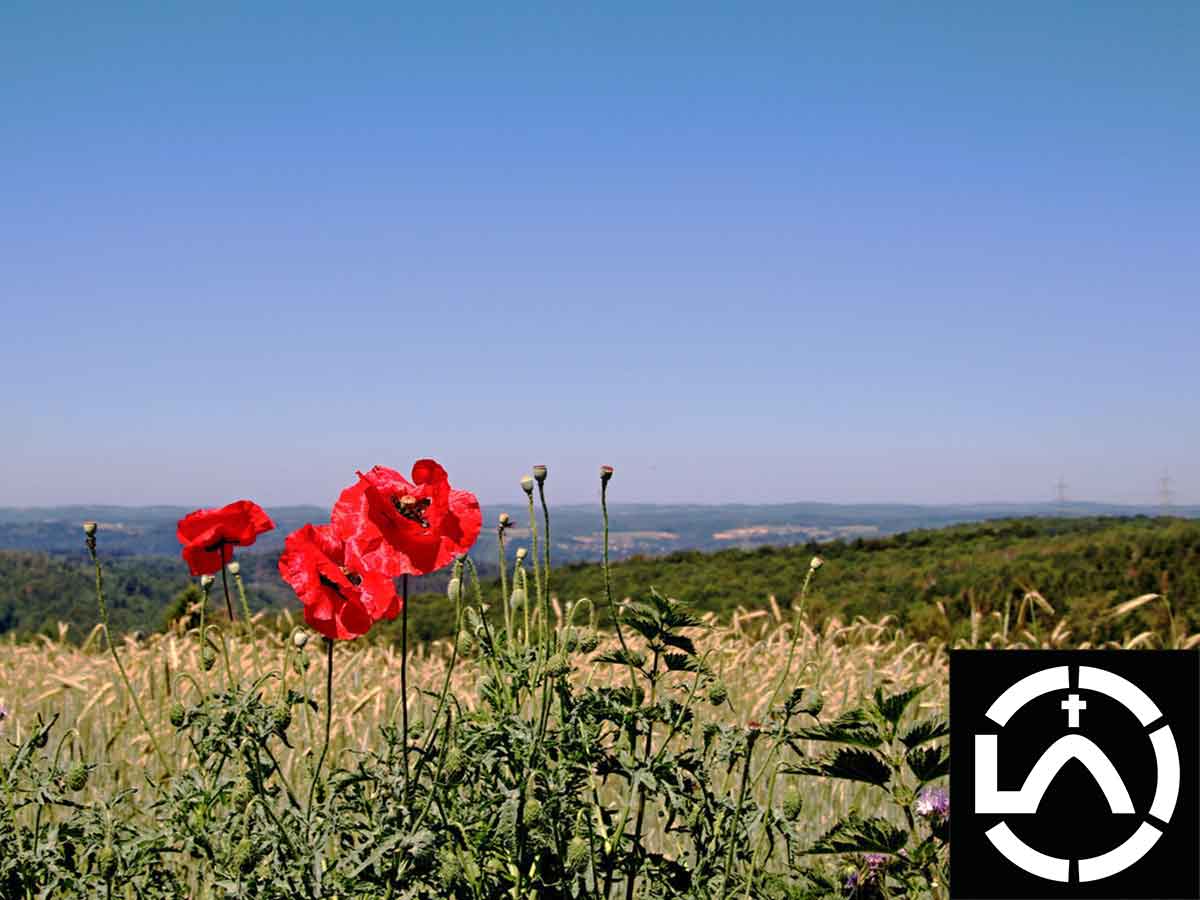 Panorama ber Steinebach. (Foto: Christoph Eul)