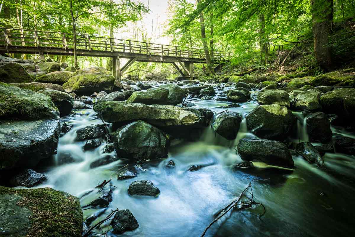 Rundwanderweg Hohe Hahnscheid: Durch Feld, Wald und die Holzbachschlucht